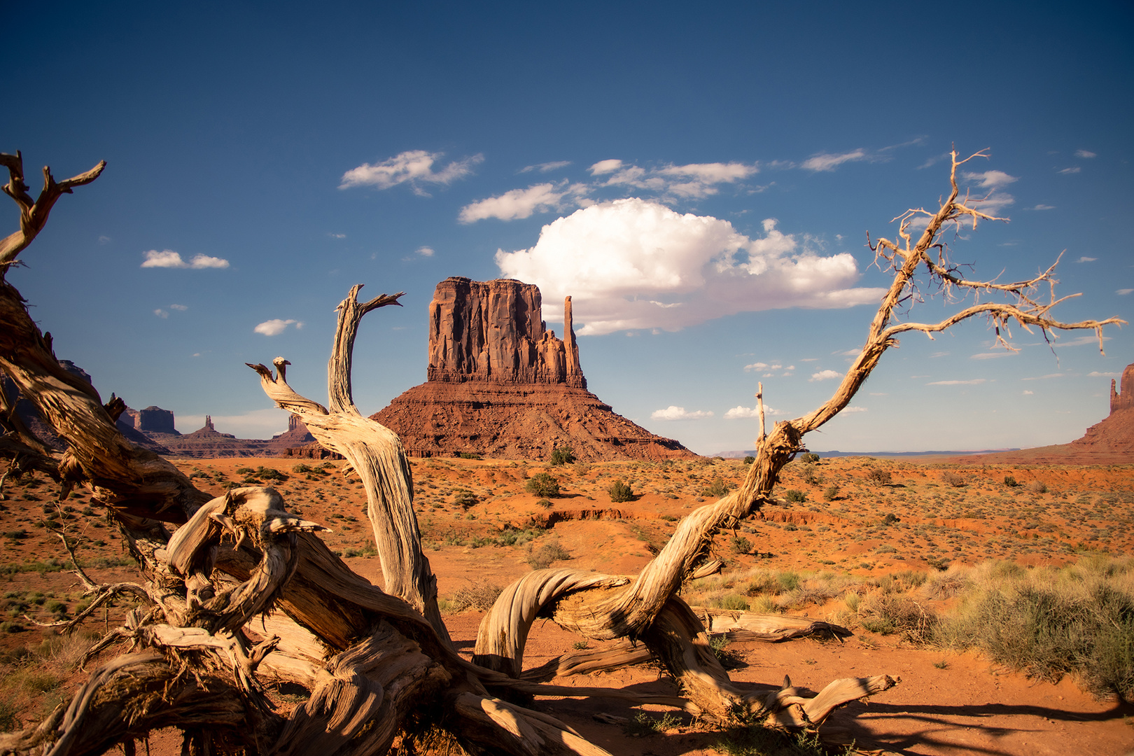 West Mitten Butte