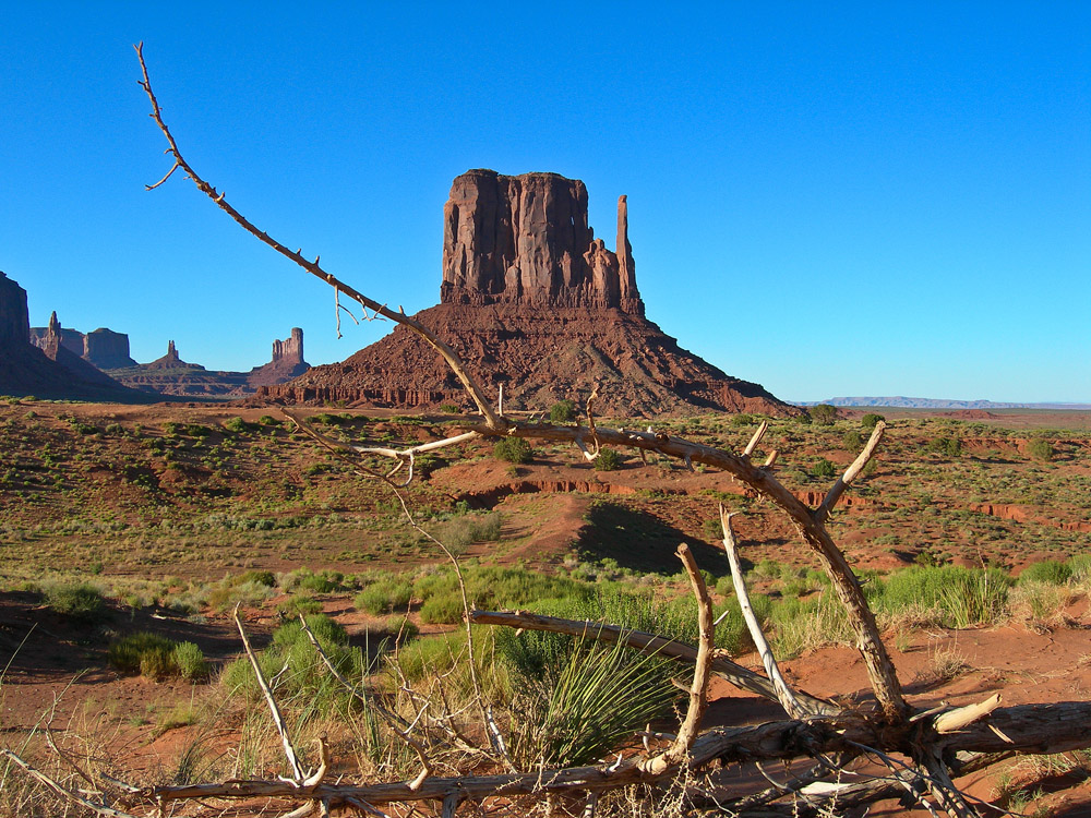 West Mitten Butte