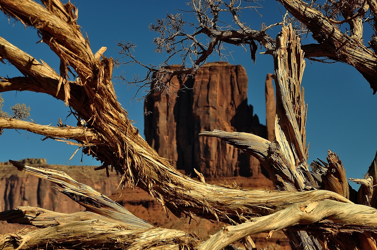 West Mitten Butte