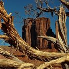 West Mitten Butte