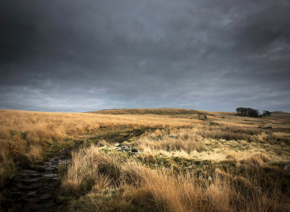 West Pennines Moors, Withnell Moor