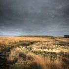 West Pennines Moors, Withnell Moor