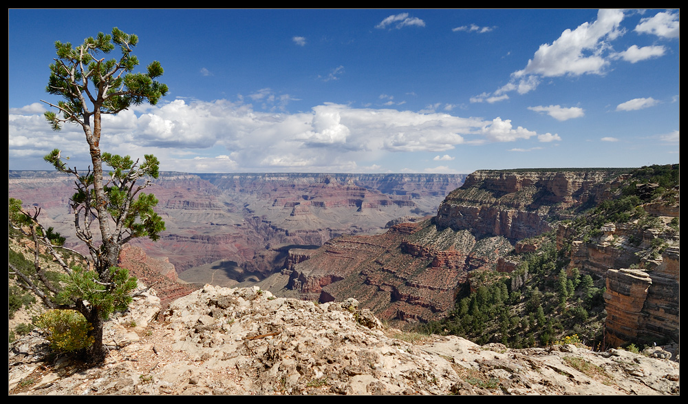 [ West Rim Trail ]