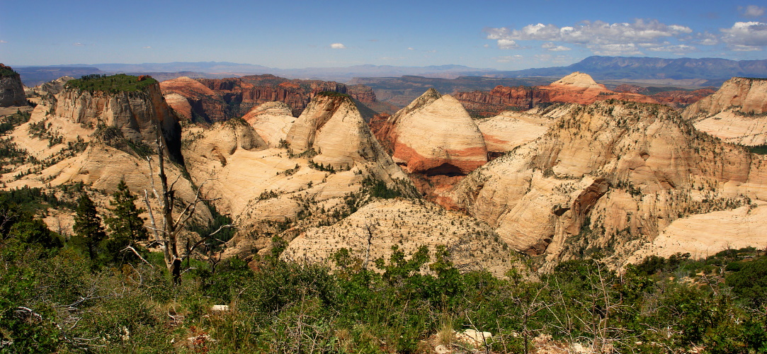 West Rim View