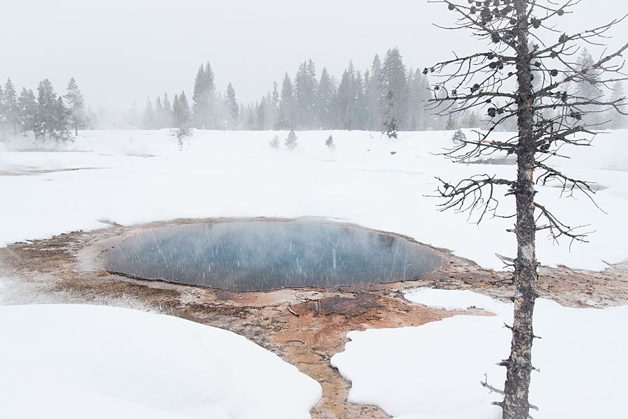 West Thumb Basin by day