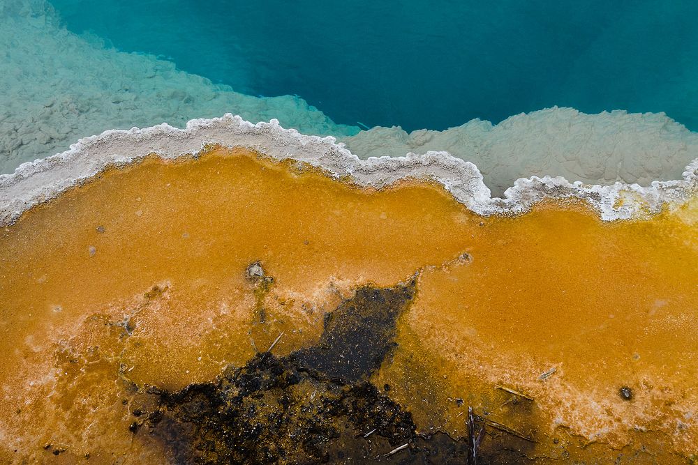 West Thumb Geyser Basin (3)