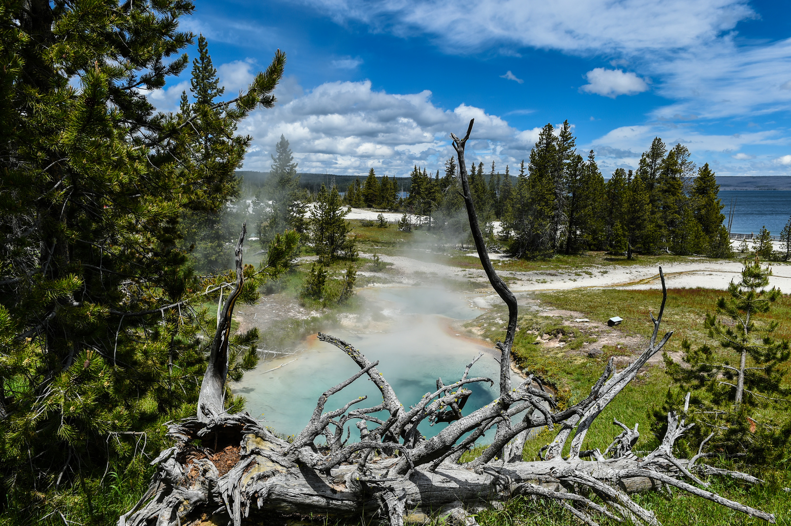 West Thumb Geyser Basin, Yellowstone.             DSC_3865-2