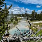 West Thumb Geyser Basin, Yellowstone.             DSC_3865-2