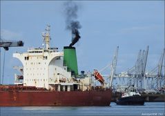 WEST TRADER, Bulk Carrier, Rotterdam