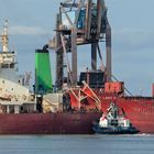 WEST TRADER Bulk Carrier, Rotterdam.