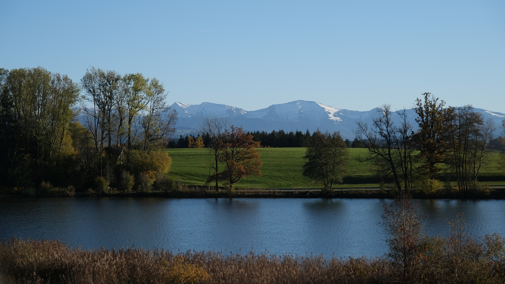 Westallgäu