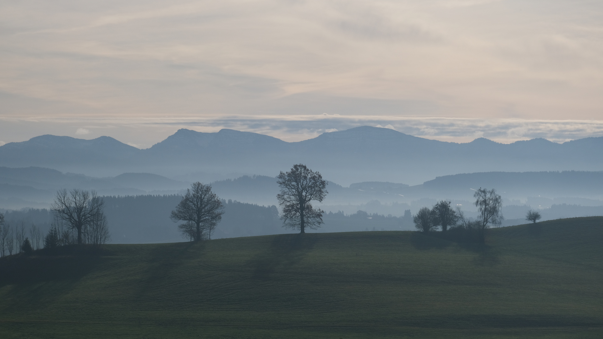 Westallgäuer Hügelland und Nagelfluhkette