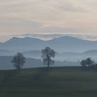 Westallgäuer Hügelland und Nagelfluhkette