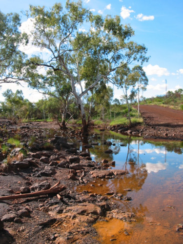 Westaustralien nach der Regenzeit im April