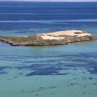 Westaustralien - Shark Bay