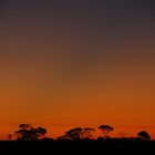 Westaustralischer Sternenhimmel