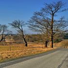 Westböhmen, Natur pur