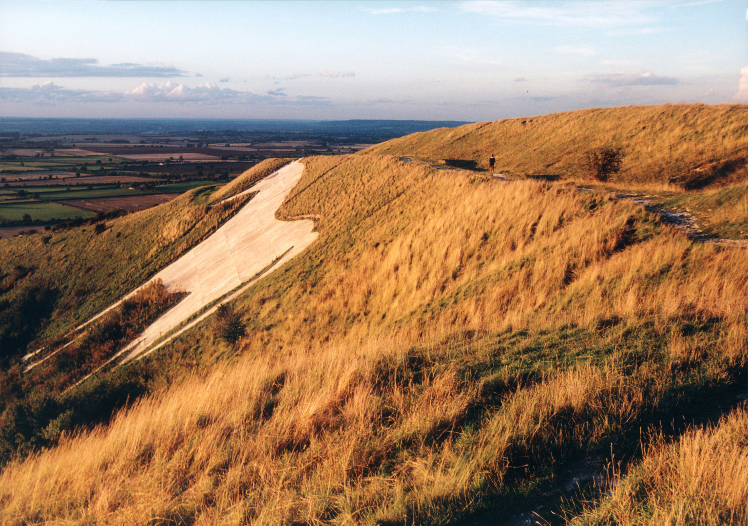 Westbury White Horse, Wiltshire (2)  |  August 1999