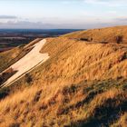 Westbury White Horse, Wiltshire (2)  |  August 1999