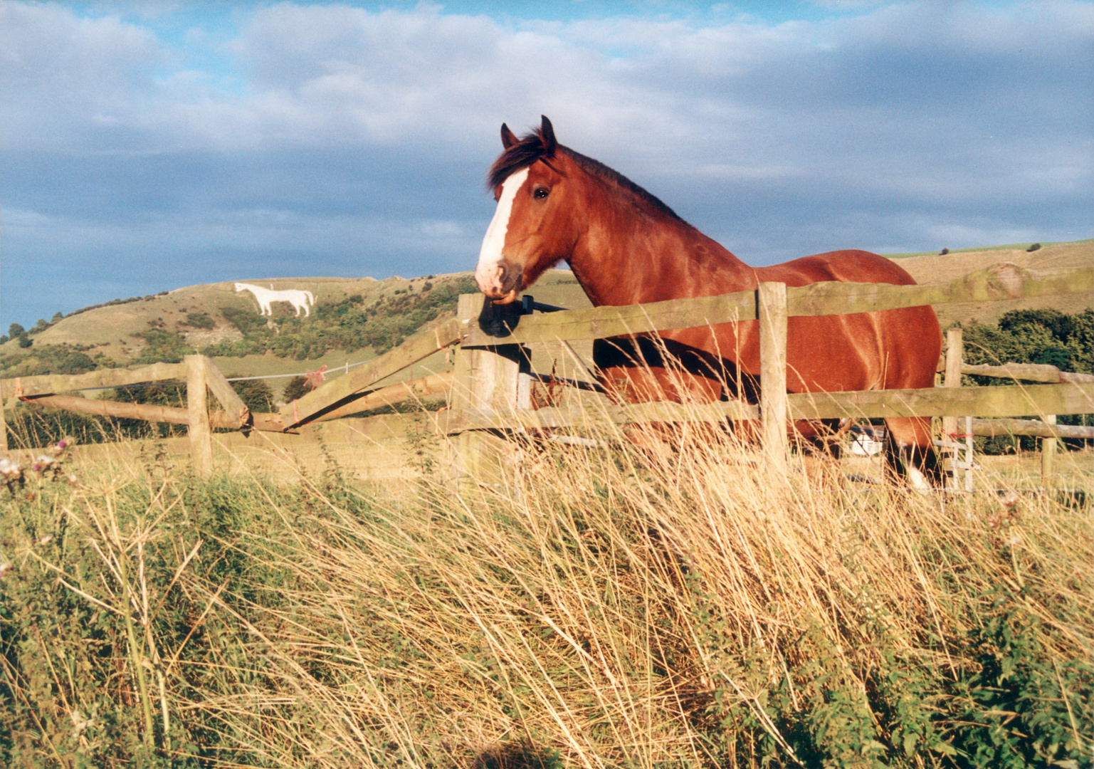 Westbury White Horse, Wiltshire  |  August 1999