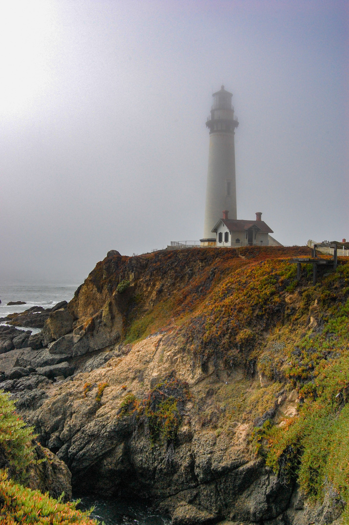 Westcoast California Pigeon Point Lighthouse