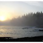 Westcoast of Vancouver Island_Juan de Fuca Trail