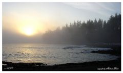 Westcoast of Vancouver Island_Juan de Fuca Trail