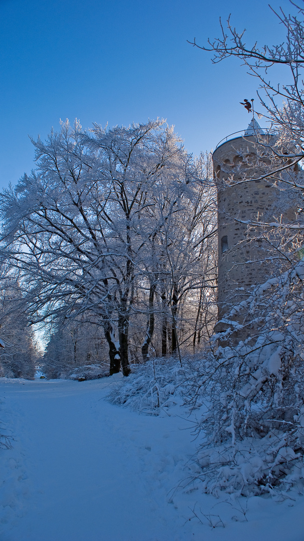 Westdorferwarte im Winter