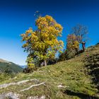 Westendorf Oktober 2017 