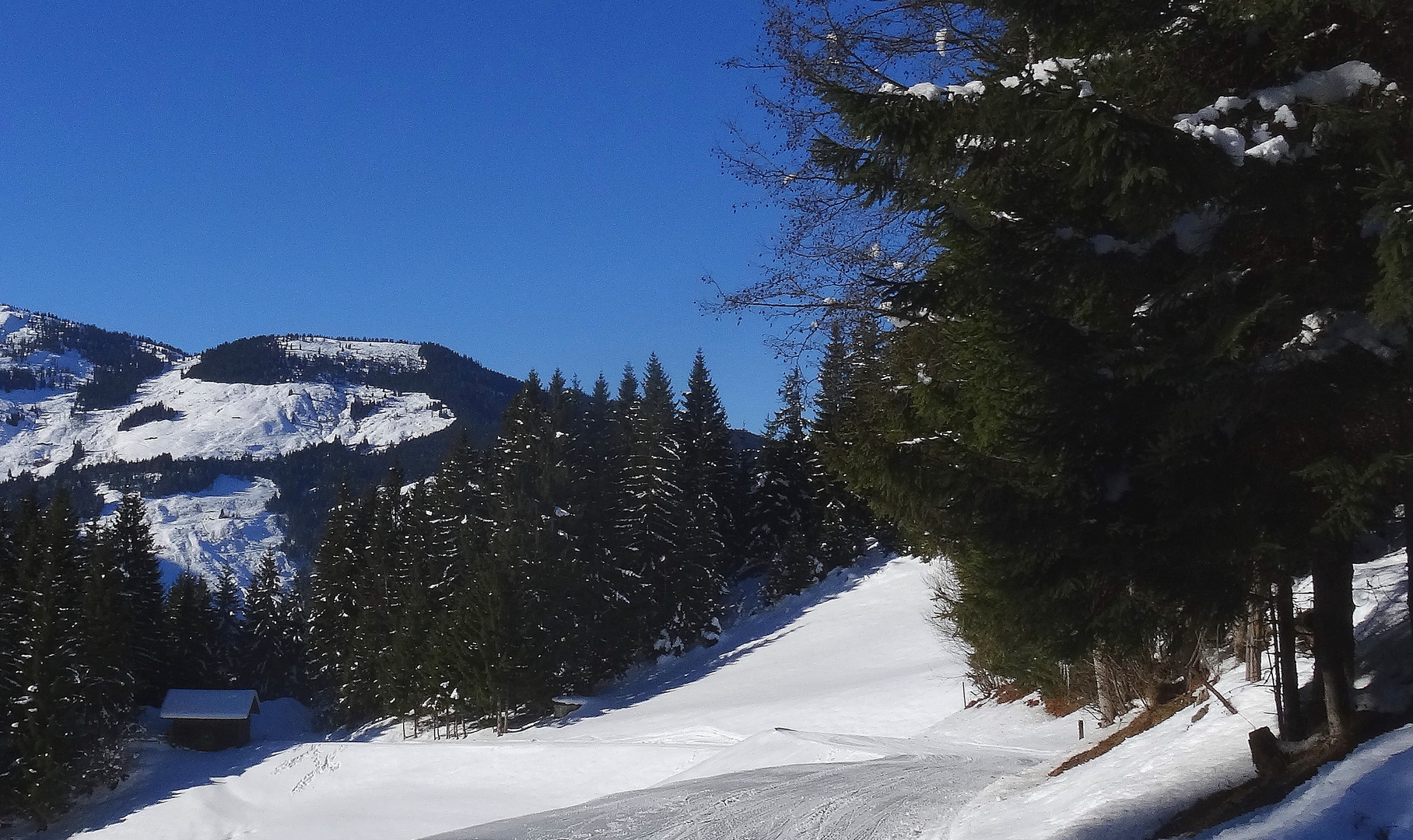 Westendorf Tirol