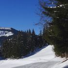 Westendorf Tirol