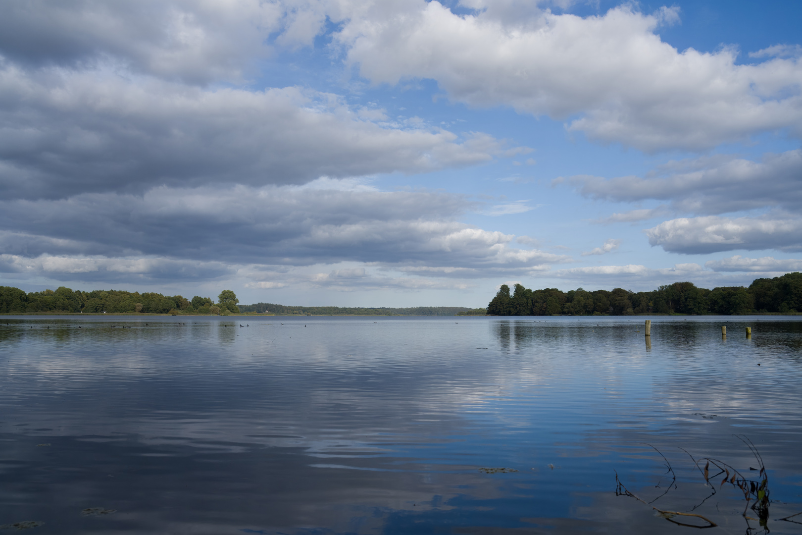 Westensee - Spiegelung zum 19.9.2023