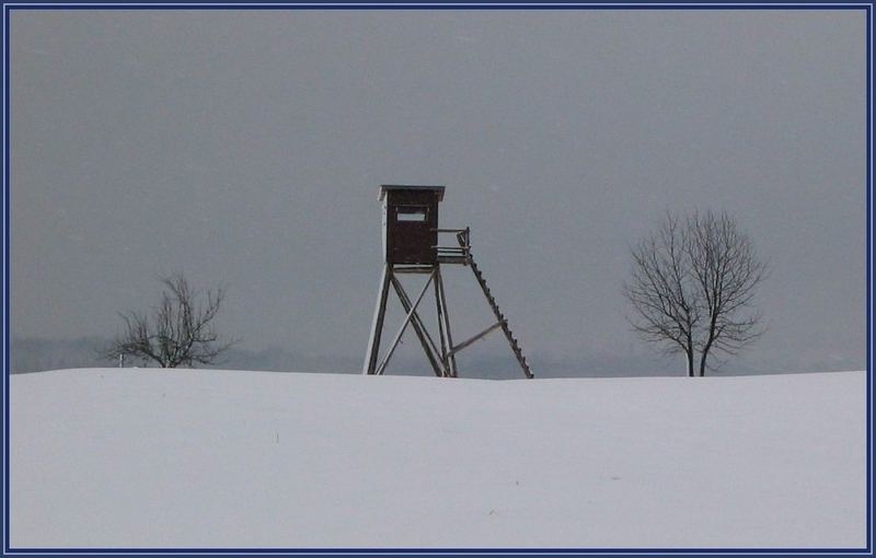 Wester-Winter-Wald (2)