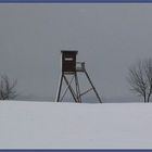 Wester-Winter-Wald (2)