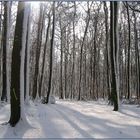 Wester-Winter-Wald