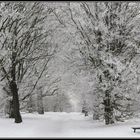 Westerberg im Winter