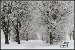 Westerberg im Winter