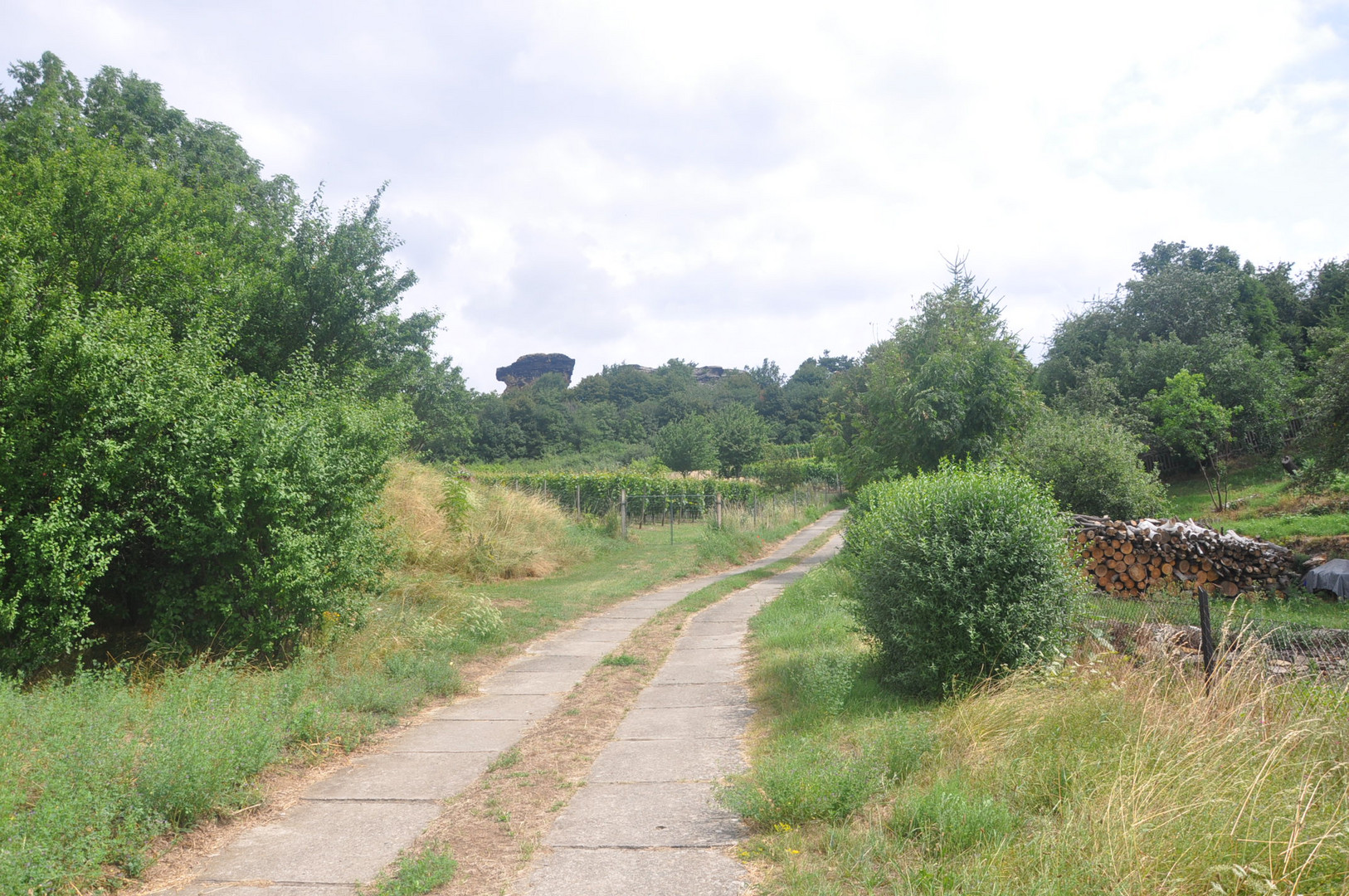 Westerhausen Landschaft