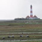 Westerhever