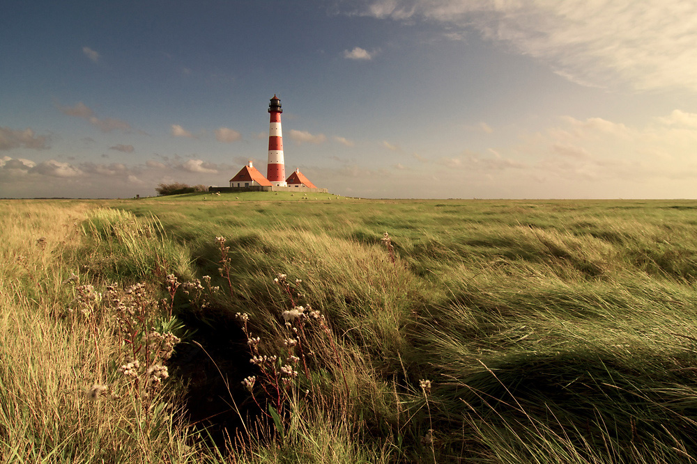 Westerhever