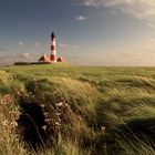 Westerhever