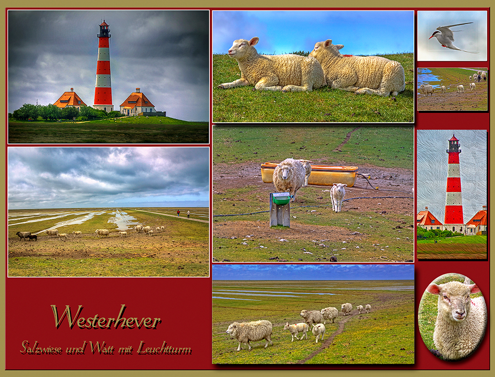 Westerhever-1