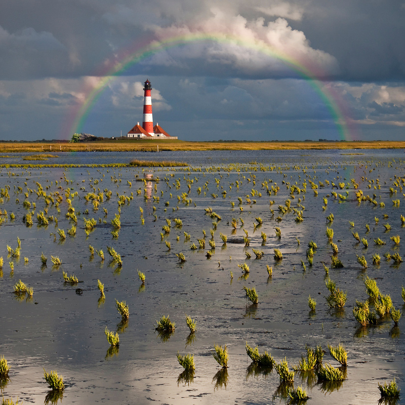 Westerhever #13