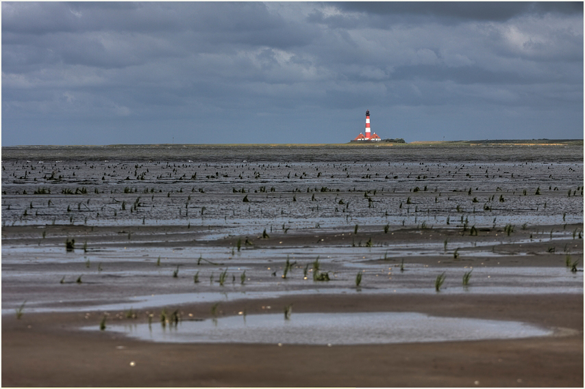 Westerhever