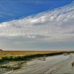 *° Westerhever *°