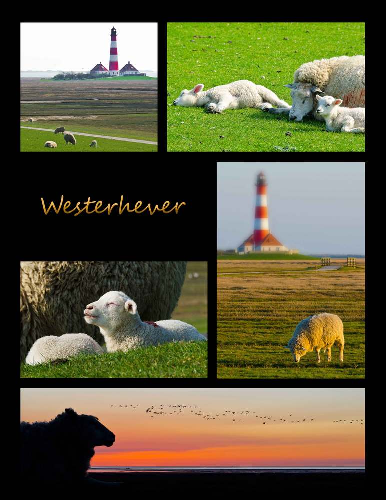 Westerhever 2011