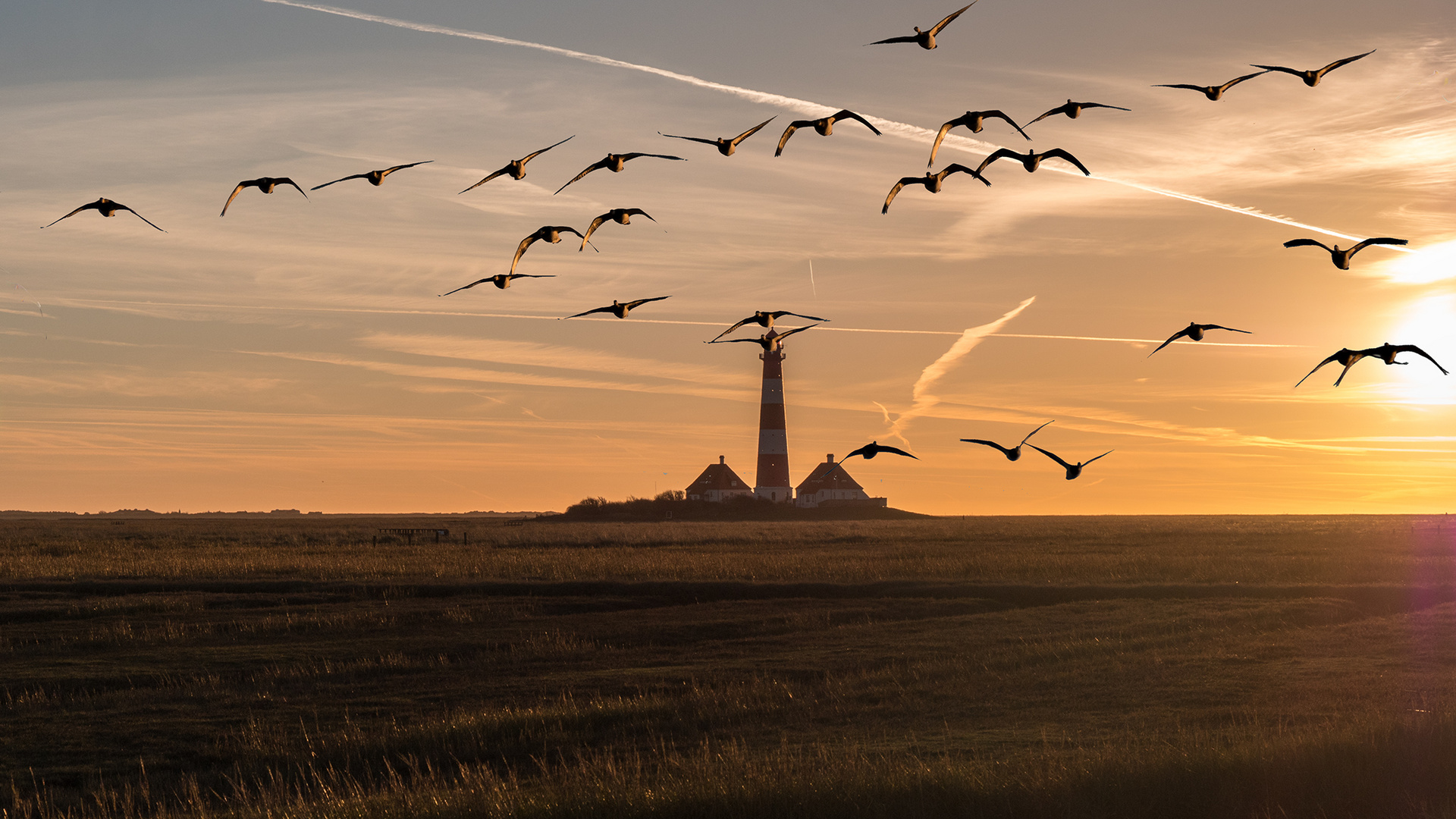 Westerhever