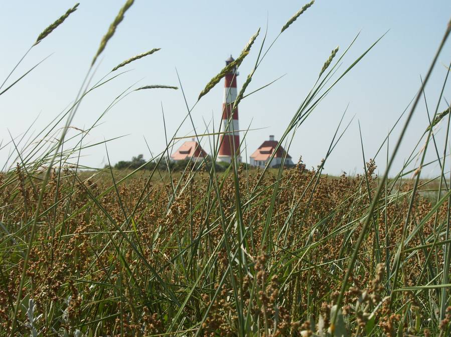 Westerhever von Peter. K