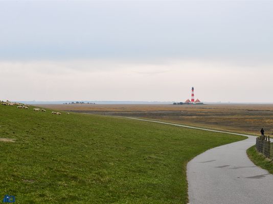 Westerhever