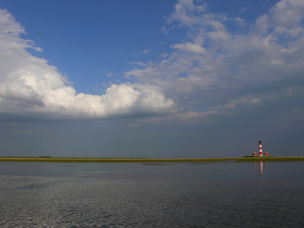 Westerhever